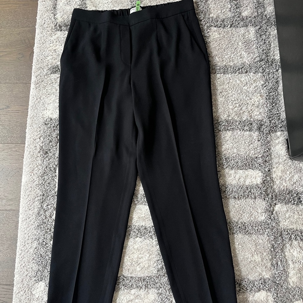 Aritzia Babaton Conan Pant